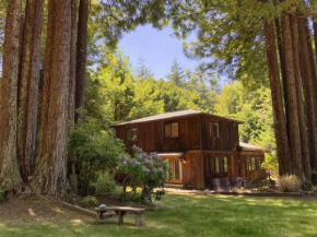 Serenity Grove